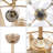 20 '' Caged Ceiling Fan 2-In-1 Design With Remote Control