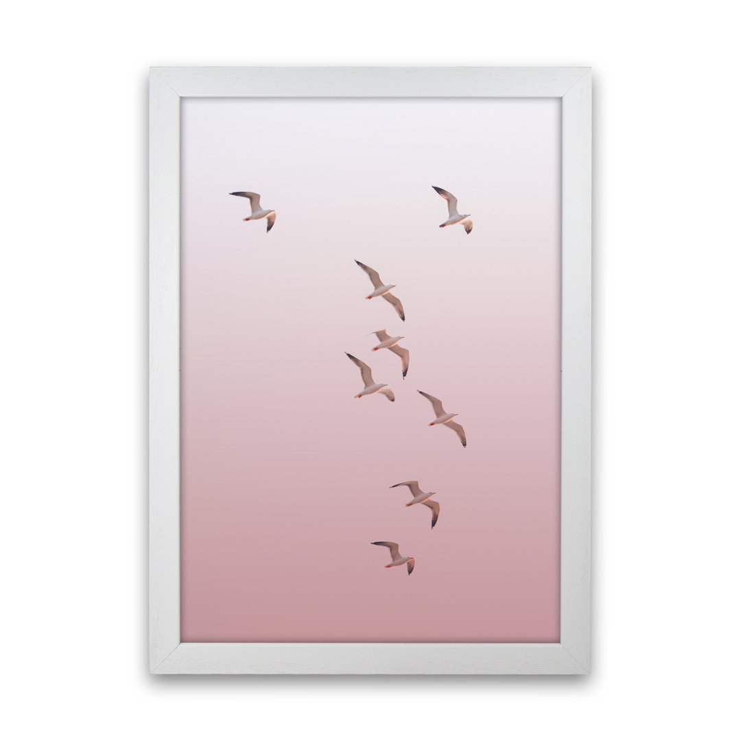 Birds in the Sky-Pink by Victoria Frost - Picture Frame Photograph Print on Paper