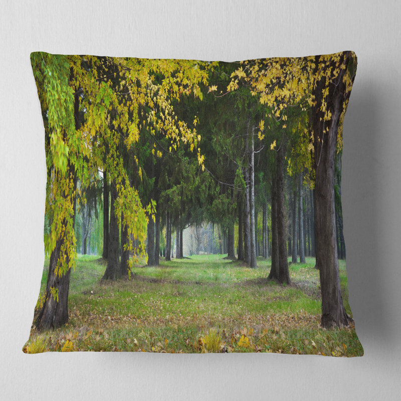 Coussin Schafer, 16 po x 1 po, Coussin décoratif