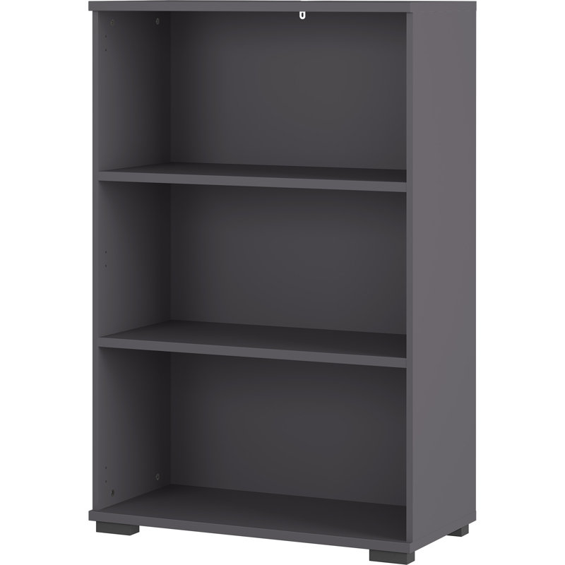 Chien 122.7cm H x 80.1cm W Standard Bookcase, Graphite