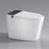 Modern Smart Toilet With Bidet Seat Built-In, Intelligent Toilet  Auto Open/Close Seat