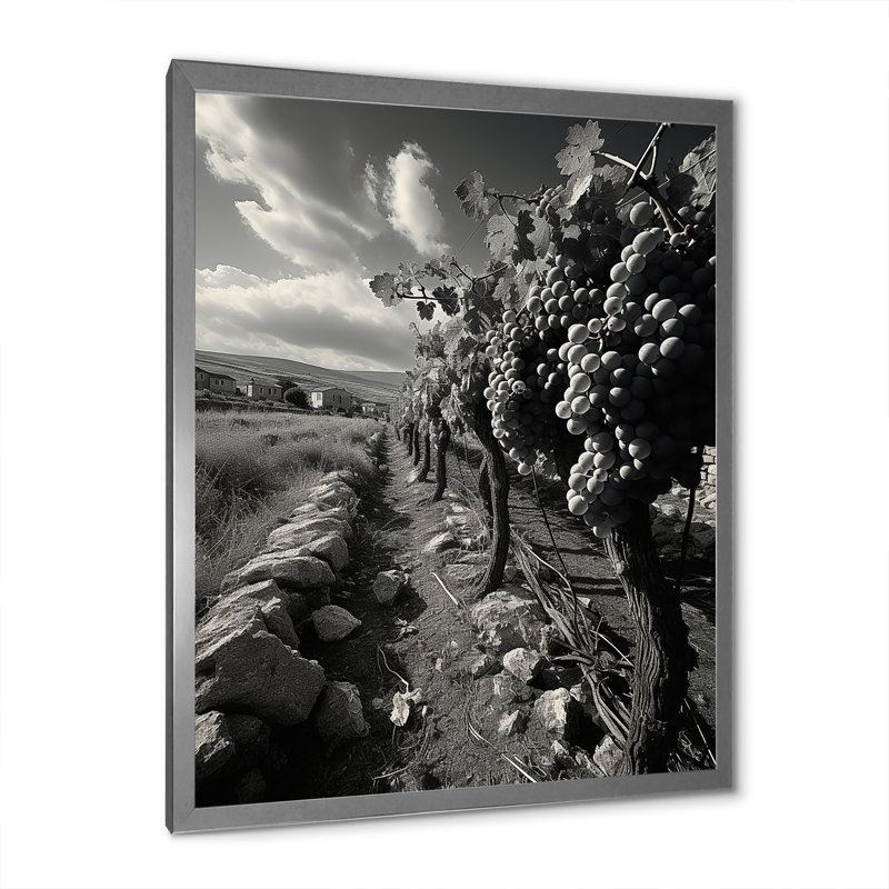 «Vibrant Mon monochrome Vineyard», reproduction sur toile, H 32 po x l 16 po x P 1 po, Cadre photo argenté