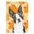 Boston Terrier