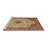 Oriental Indoor Rug-1605805478