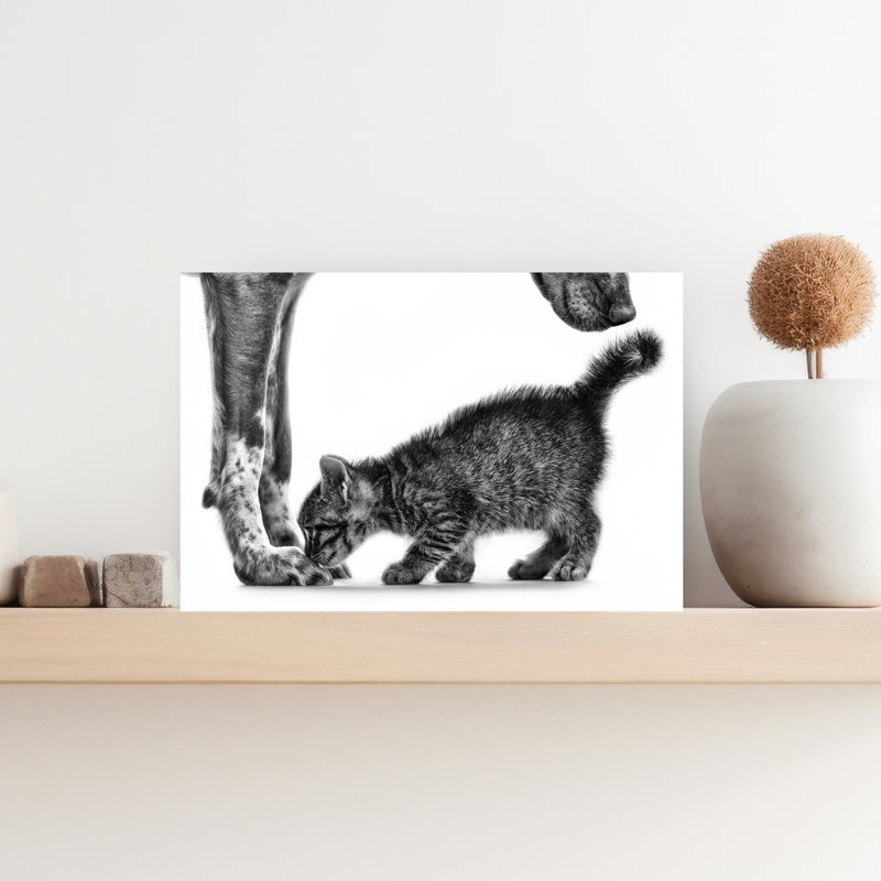 Gentle Dog Kitten Contemporary Cat Dog Wall Art Print, 30.48cm H x 45.72cm W