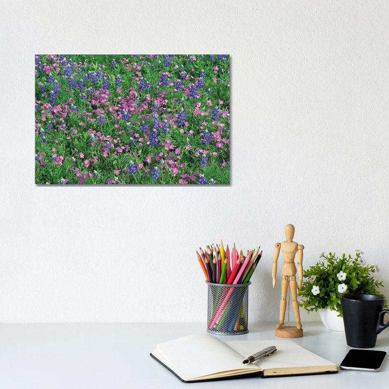 Sand Bluebonnet and Pointed Phlox 1 Piece Wrapped Canvas Wall Art, 20.32 cm H x 30.48 cm W