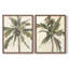 «Antique Watercolor Palm Study I», reproduction encadrée de qualité supérieure - prête à être accrochée - aucun clou requis - aucun clou requis-1111245672-1111245675