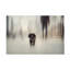 Art sur toile Heike Willers Going Home-74448542