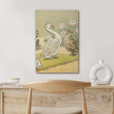 Oiseau, chouette, chouette, animaux de ferme