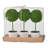 Set of 3 Mini Topiaries in Decorative Pots