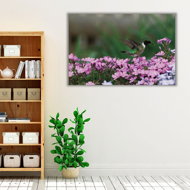 «Spring Hummingbird», reproduction d'art sur toile, H 24 po x l 36 po