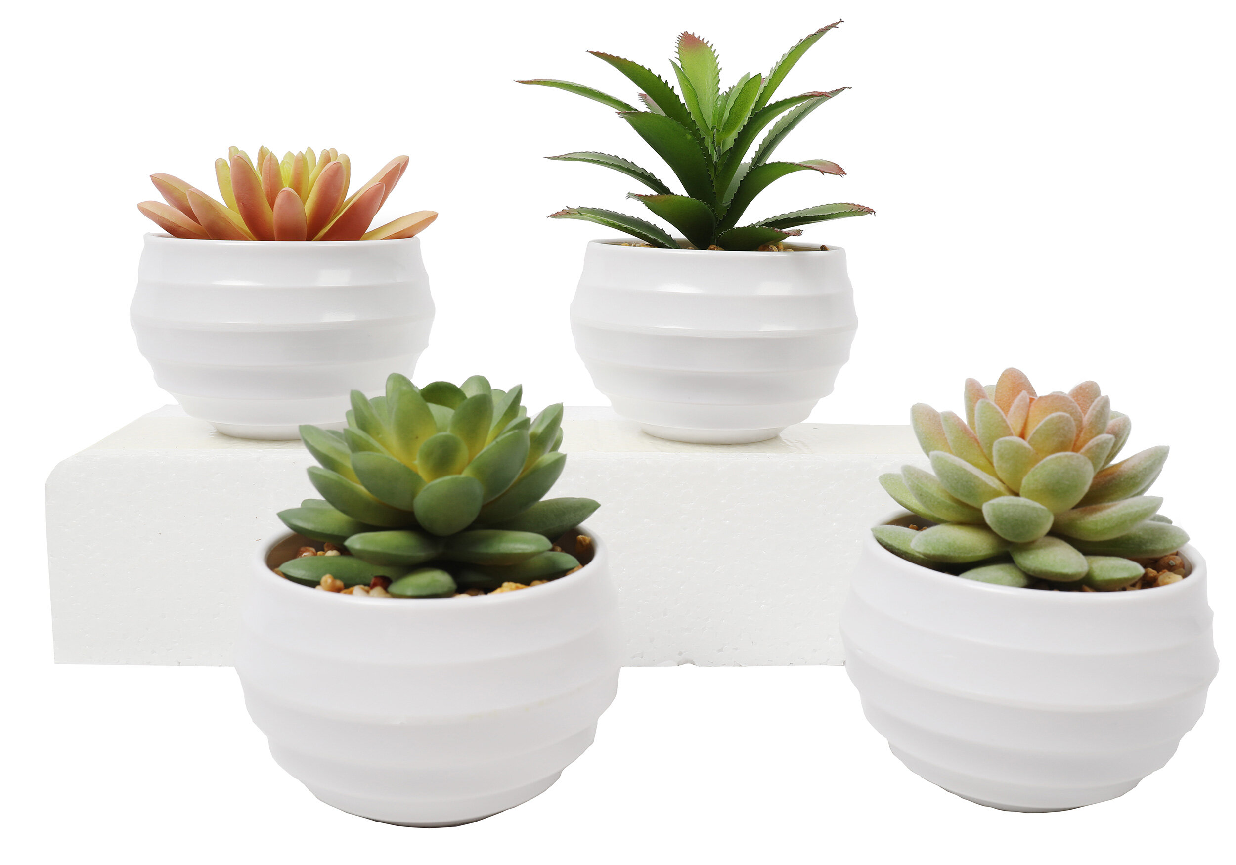 Wrought Studio 4 Artificial Assorted Cactus Succulent in Pot Set ...