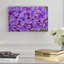 « lilas fleur », reproduction de photo sur toile tendue-32708439