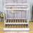 Sonette Twin Wooden Platform Bed with Twin Size Trundle by Viv + Rae™