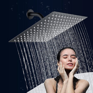 Pomme de douche multifonctionnelle