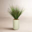 4.5' Onion Grass in Rainey Planter