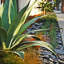 Pierre naturelle ardoise naturelle noire et brun clair-29648357
