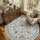 Goldene Animal & Insect Machine Washable Area Rugs with Non-Slip Backing for Living Room, Dining Room, Bedroom