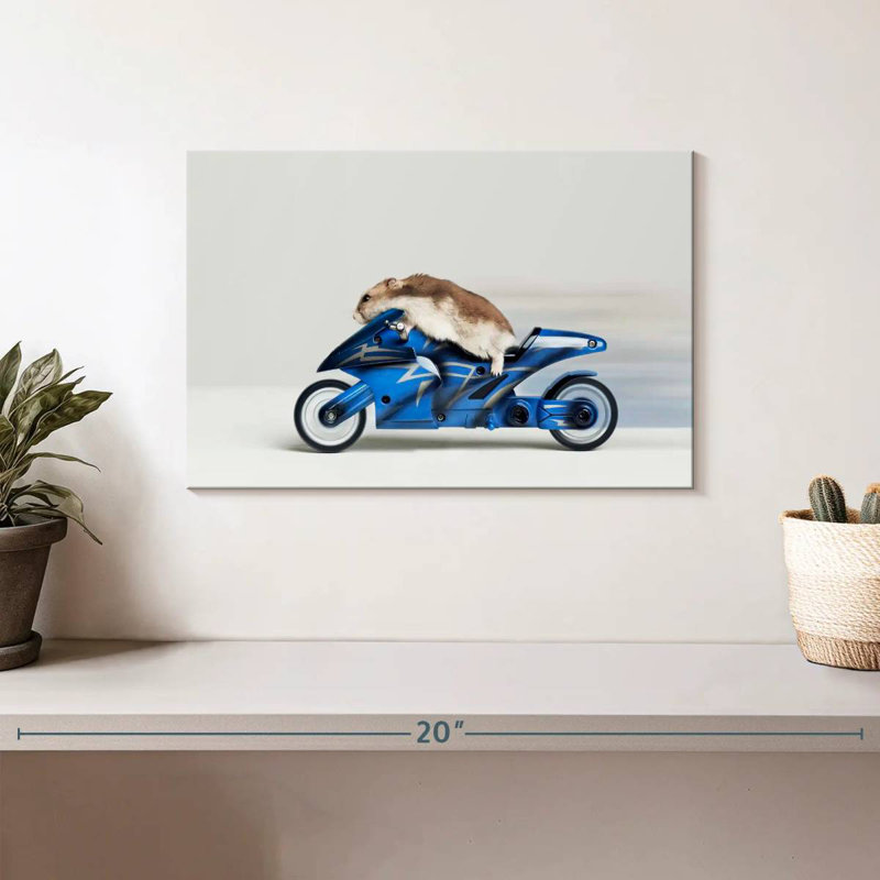 Hamster Ketti sur une moto jouet, H 8 po x l 12 po