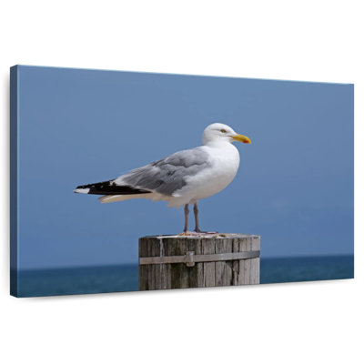 Seagull On Wood Post