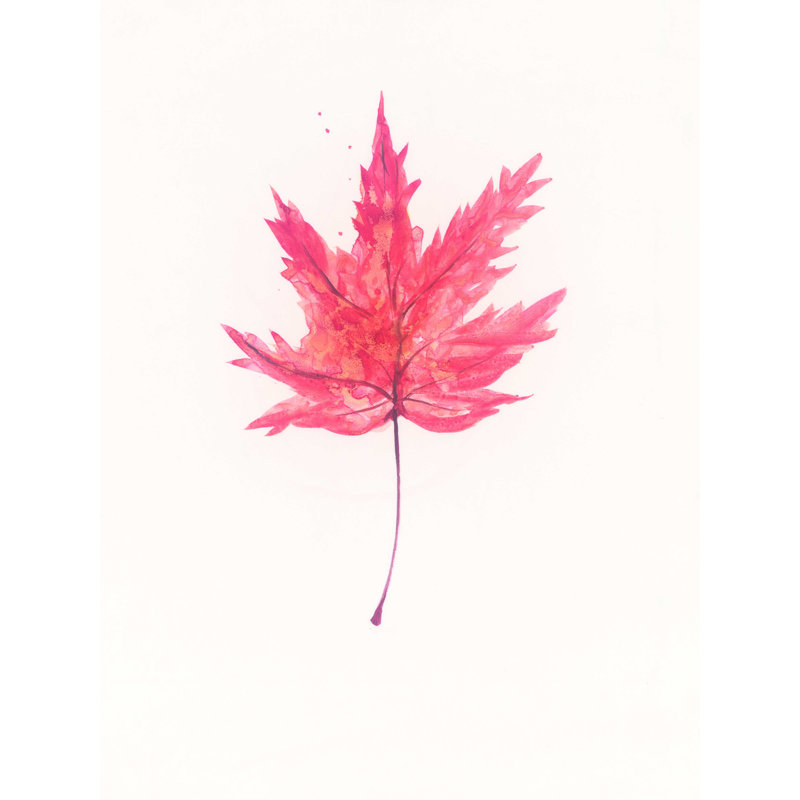 " Maple Leaf ", 12" W x 16" H