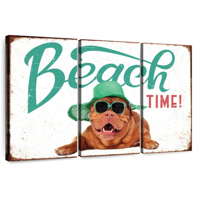 Chien prêt pour la plage