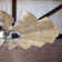 Ulises 72'' Ceiling Fan