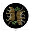 Leopard Seeing Double Pebble 16" Vinyl Placemat-117392983