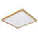 Plastic LED Flush Mount