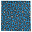 Nappe Football-1576809629-1576809621