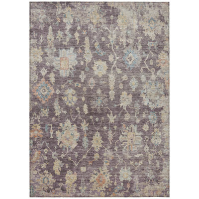 Machine Washable Indoor/Outdoor Francky ACN2355 Traditional Rug