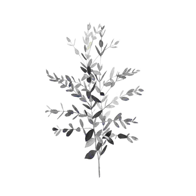 Paynes Gray Botanicals II, H 18 po x l 12 po