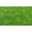Chain-link Fence-71217251