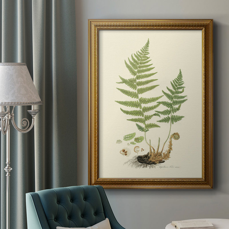 Toile encadrée de qualité supérieure Curtis Ferns II - prête à être accrochée, L 16 po x H 20 po