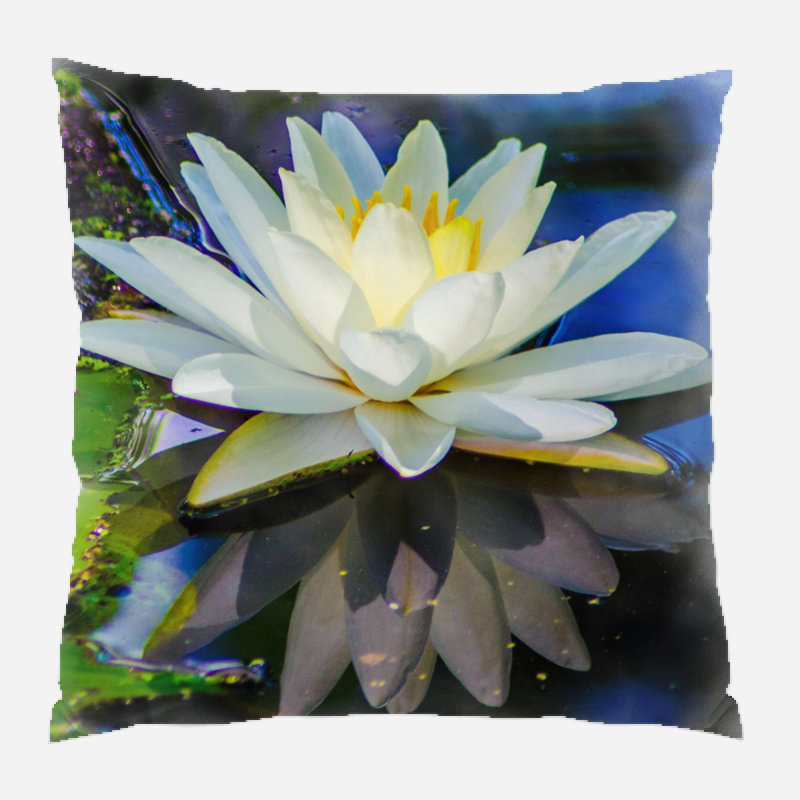  Coussin Water, Microsuède, Intérieur