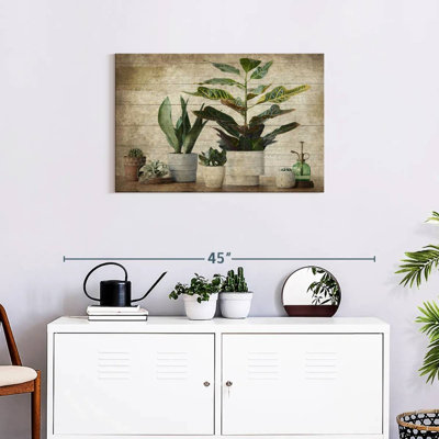 Plantes d'intérieur en bois Harnek