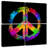 Kirara Rainbow Hippie Peace-109133538