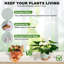 Pots de plantes auto-arrosants d'intérieur-1829309394