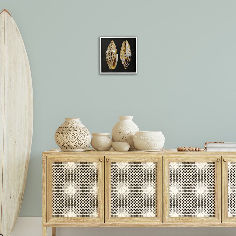 «Spots Cowrie Shells», art de la giclée noire encadrée par Caroline Kelly, Giclée encadrée blanc bord de mer