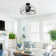 Baney 22.8" Crystal Caged Ceiling Fan with LED Lights and Remote Control
