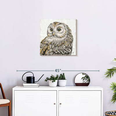 Brampt Beautiful Owls I