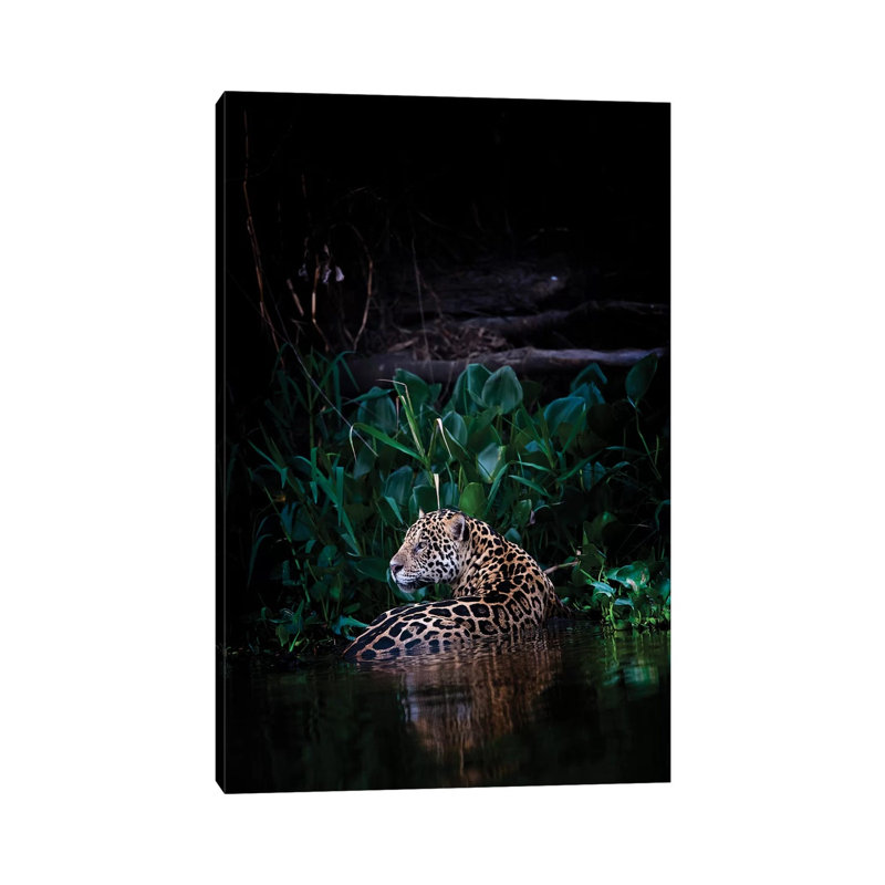 Cooling Down by David Whelan - Wrapped Canvas Gallery-Wrapped Canvas Giclée, 20.32 cm H x 30.48 cm W
