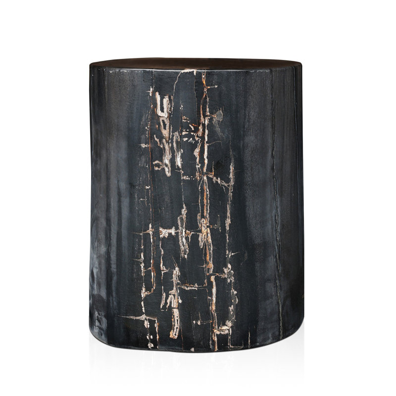 Table de bout en bois massif Bakersville, Dark Petrified Wood