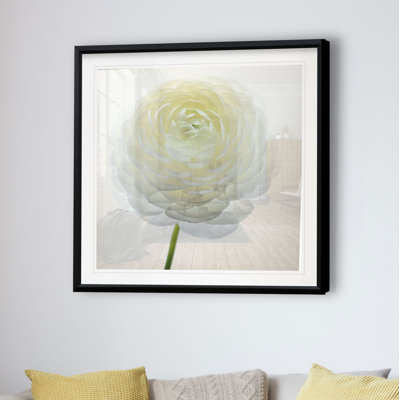 " White Beauty IV "