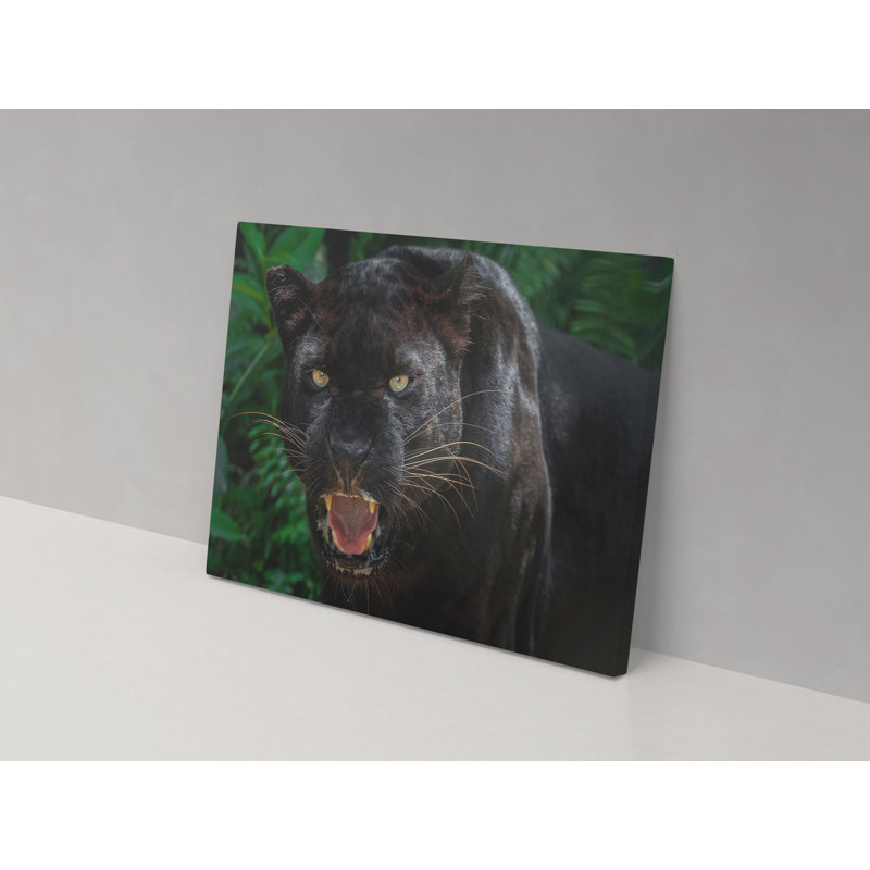 Angry Leopard - Wrapped Canvas Print, 52cm H x 82cm W x 4cm D