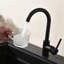 Robinet de cuisine à poignée simple en acier inoxydable, robinet de cuisine commercial à un trou, robinet de bar moderne à un trou-117238383