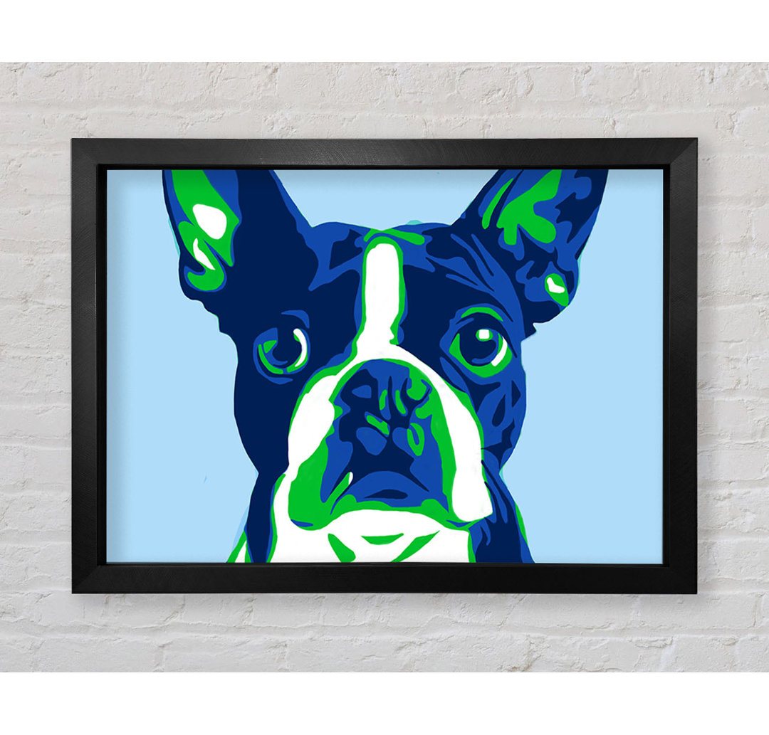 Die Französische Bulldogge Pop Art - Druck