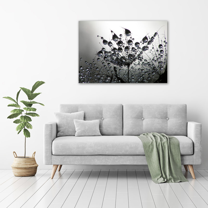 Dandelion Seeds - Wrapped Canvas Print