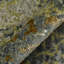 Mystique Abstract Area Rug in Gray-694449511