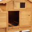Chicken Coop with Chicken Run